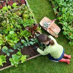 Vegetable Gardening  Learning Circle_html_164ce4ab